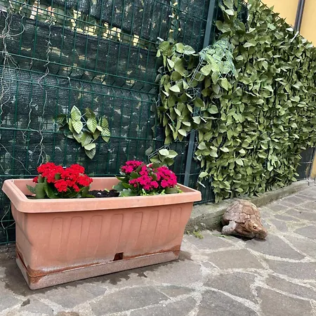 Appiolatino - Il Fenicottero * Rome